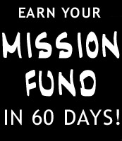 Earn 20 grand in 60 days hanging Christmas Lights